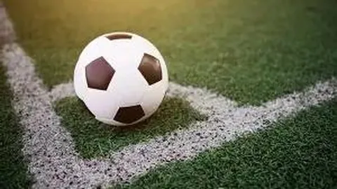 中华传统体育赛事国际瞩目，龙舟武术风头正劲展世运风采