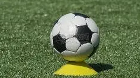 EVO真人 (Sports) 资讯 133325 7yi