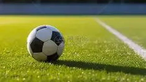 EVO真人 (Sports) 产品 133334 csx